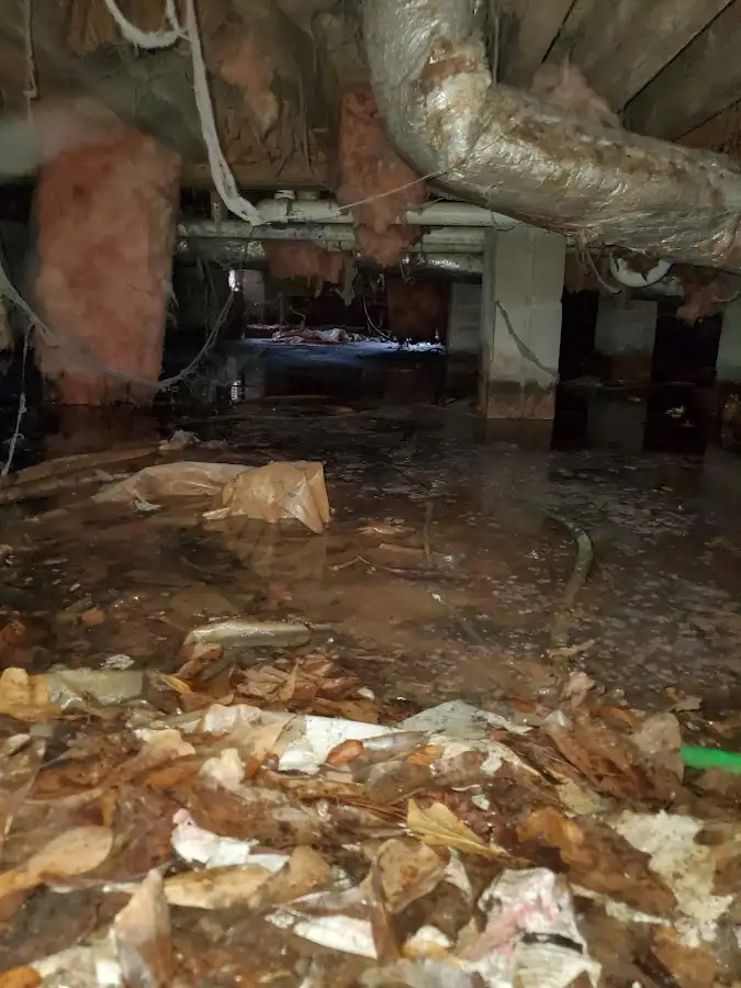 Crawl space flood assessment for Leak Detection & Repair in La Crosse