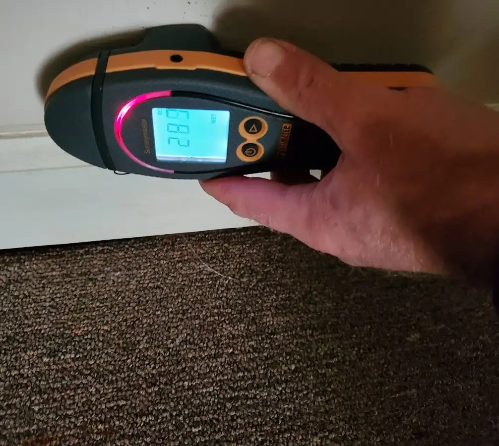 Moisture detection at baseboard during Sewage Cleanup & Sanitation in La Crosse